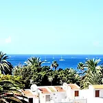 Agaves Ocean View